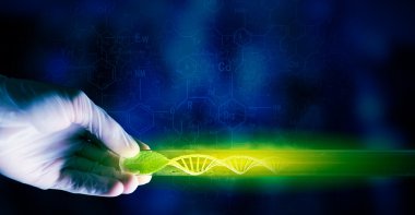 Bilim araştırma testi