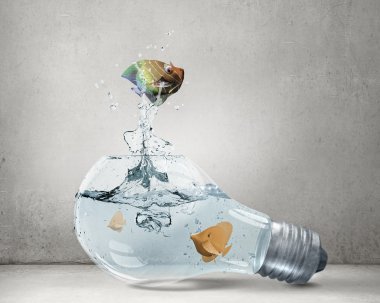 Egzotik balık ampul