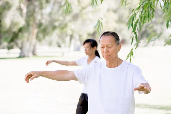 Människor som utövar thai chi i park — Stockfoto