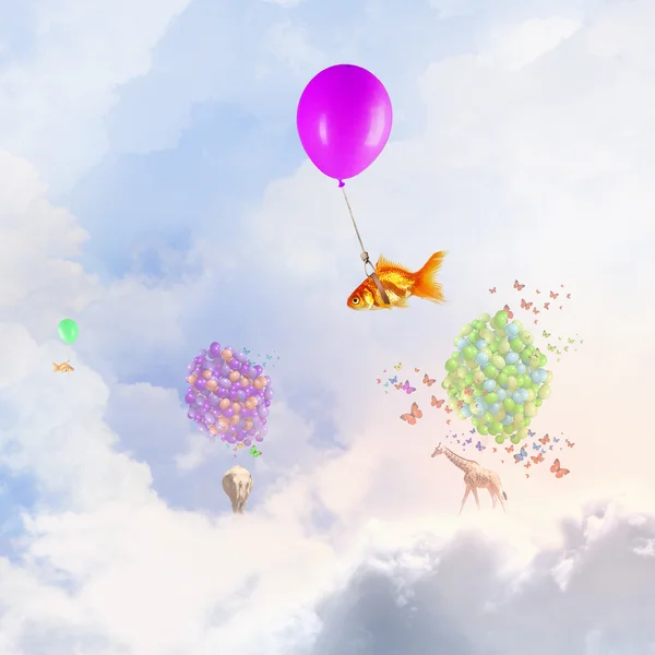 Goldfish vuela en globo —  Fotos de Stock