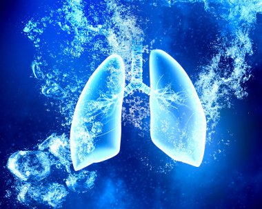 Lungs under water clipart