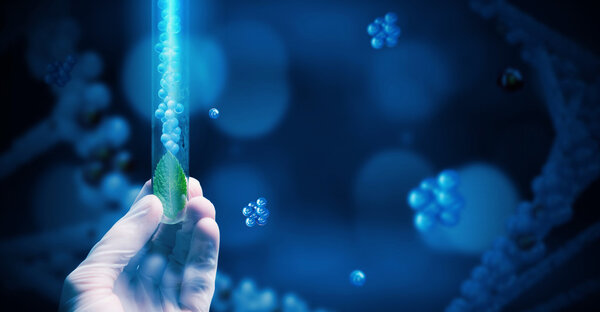 Science research test