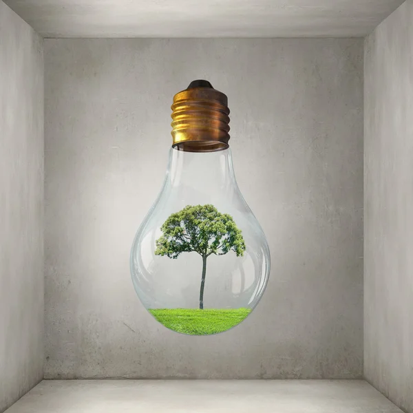 Concept d'énergie alternative — Photo