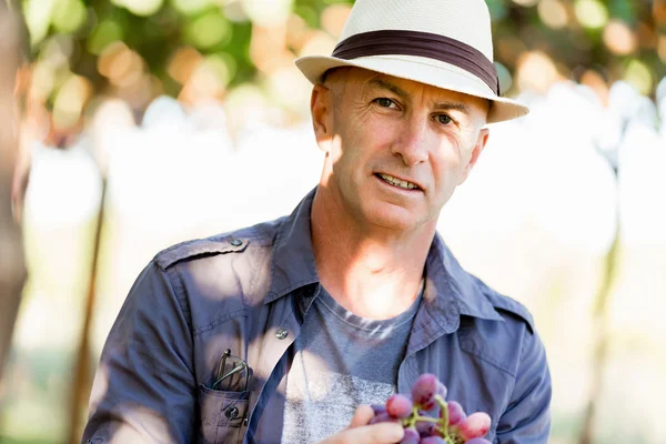 Homme debout dans la vigne — Photo