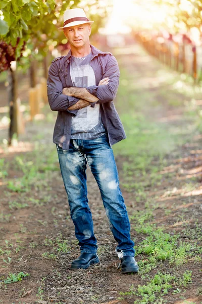 Homme debout dans la vigne — Photo