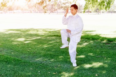 Yakışıklı adam Thai Chi yapıyor.