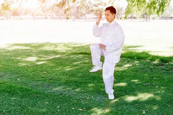 Yakışıklı adam Thai Chi yapıyor.