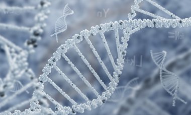 DNA araştırma arka plan