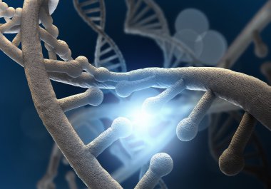 DNA araştırma arka plan