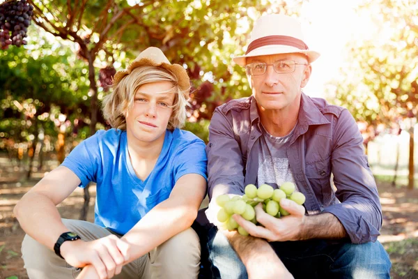 Baba ve oğul bağ içinde — Stok fotoğraf