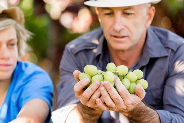 Père et fils dans la vigne — Photo