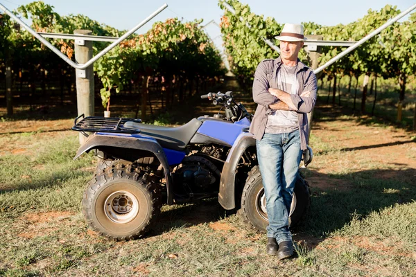 Uomo in piedi accanto al camion in vigna — Foto Stock