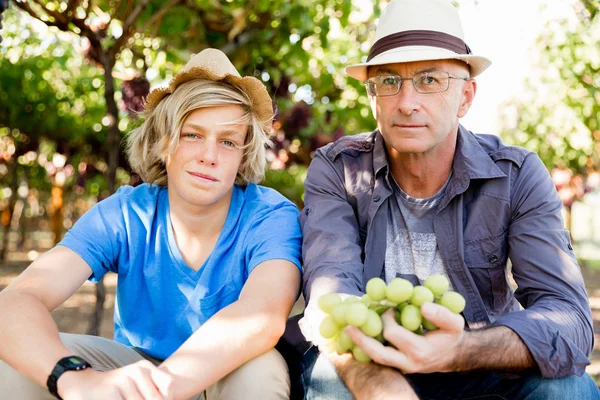 Father and son in vineyard — Stock Photo, Image