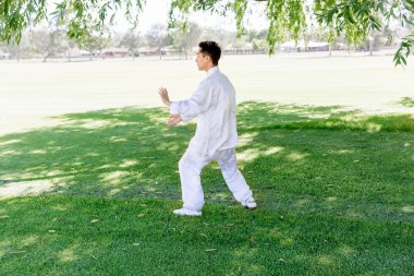 Yakışıklı adam Thai Chi yapıyor.