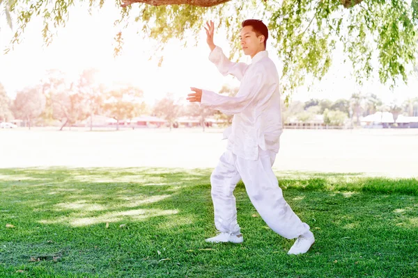 Yakışıklı adam Thai Chi yapıyor.