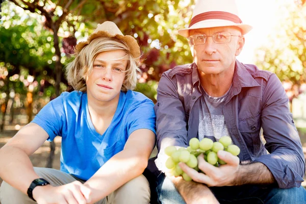 Far och son i vingården — Stockfoto