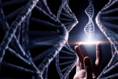 DNA molekülü araştırma