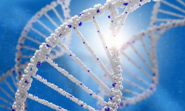 DNA araştırma arka plan