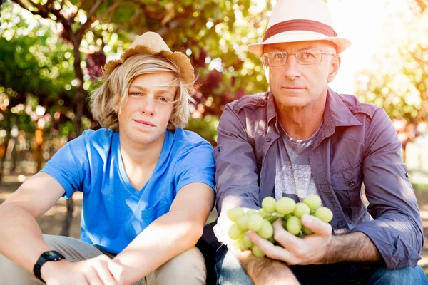 Father and son in vineyard — Stock Photo, Image