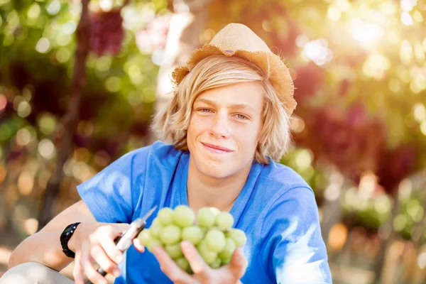 Boy in vineyard — Stock Photo, Image