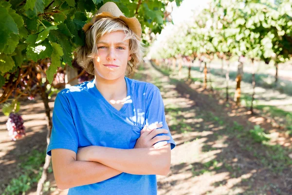 Niño en el viñedo — Foto de Stock