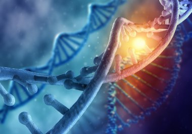 DNA araştırma arka plan