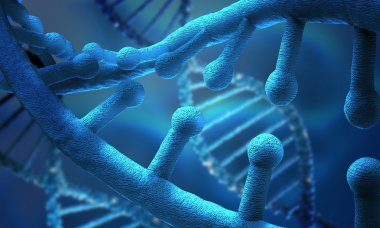 DNA araştırma arka plan