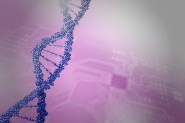 Biyoteknoloji genetik araştırma