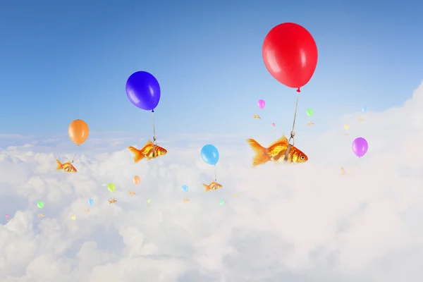 Złota rybka latać na balon — Zdjęcie stockowe
