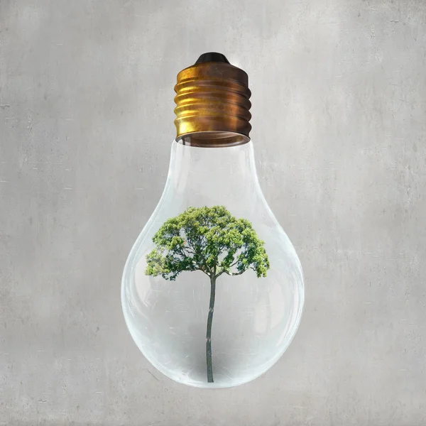 Alternative energy concept — Stock Photo, Image