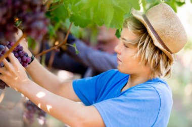 Üzüm bağı çocuk