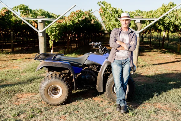 Uomo in piedi accanto al camion in vigna — Foto Stock