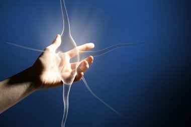 Nöroloji bilim kavramı