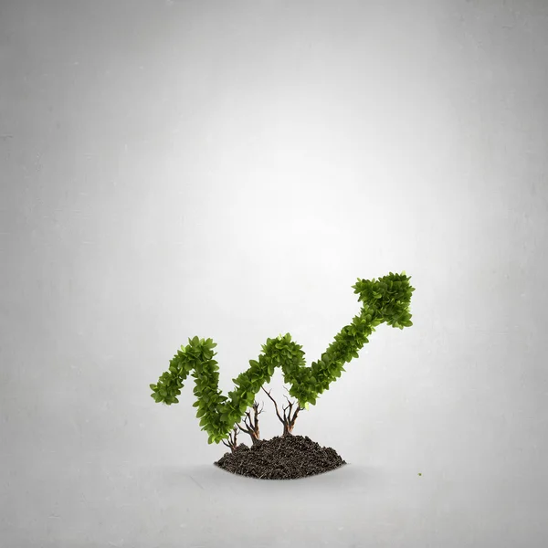 Your income growth — Stock Photo, Image