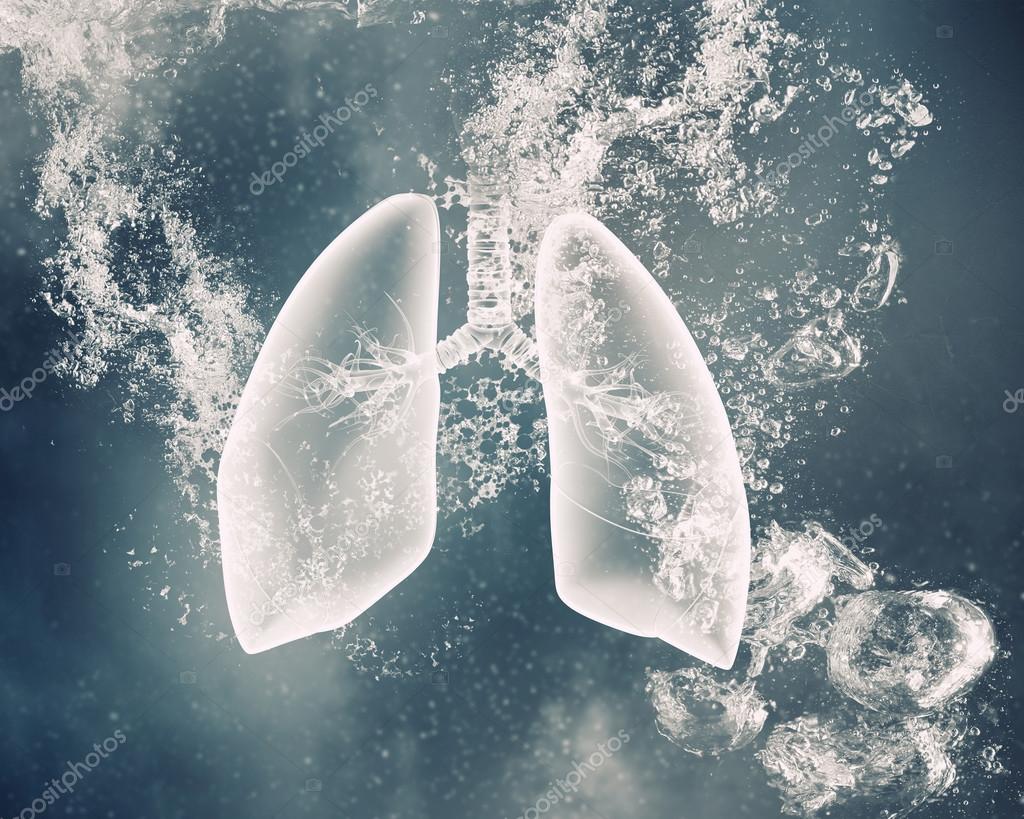 Lungs under water Stock Photo by ©SergeyNivens 107191394