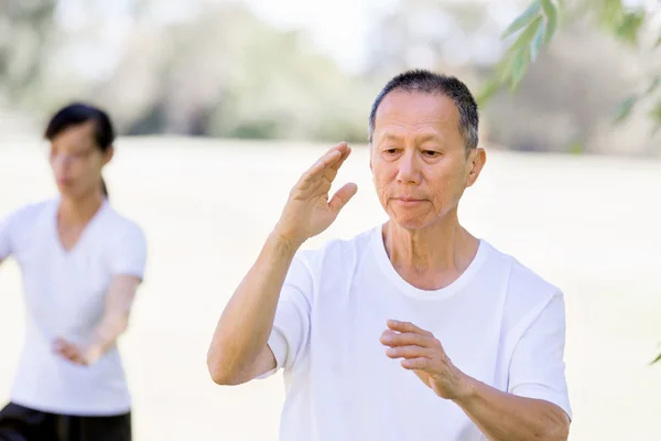 Lidé cvičí Tai-chi v parku — Stock fotografie