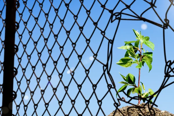 Herausforderungen durchbrechen — Stockfoto