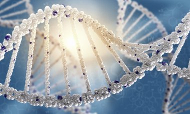 DNA araştırma arka plan