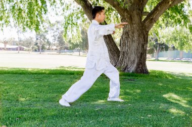 Yakışıklı adam Thai Chi yapıyor.