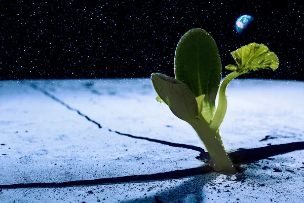 Život na jiných planetách — Stock fotografie