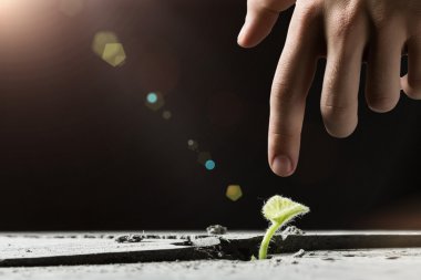 Yeni bir hayat yaratmak