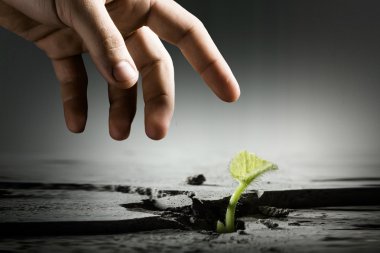 Yeni bir hayat yaratmak