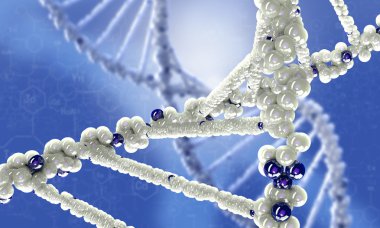 DNA araştırma arka plan