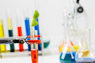Kimya test araştırma