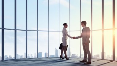 iş ortakları el sıkışma