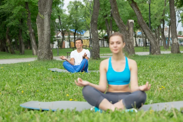 Posiadanie praktyki jogi w parku — Zdjęcie stockowe