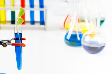 Kimya test araştırma