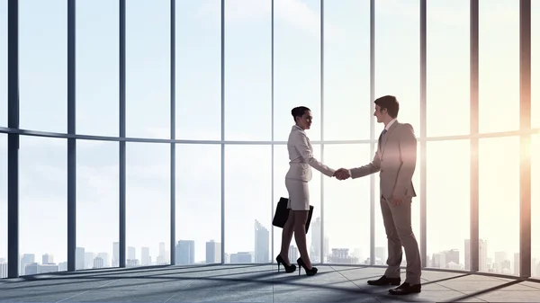 Obchodní partneři handshake — Stock fotografie