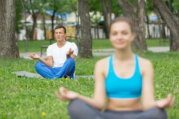 Avere pratica yoga nel parco — Foto Stock