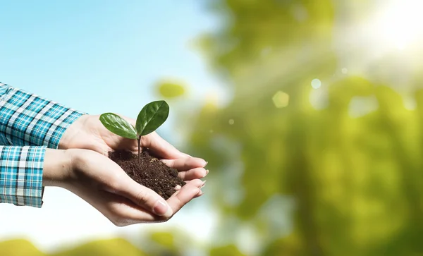 Met zorg voor natuur — Stockfoto